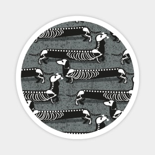 Spooktacular long dachshunds skeleton // pattern // green grey background skeleton dogs Magnet